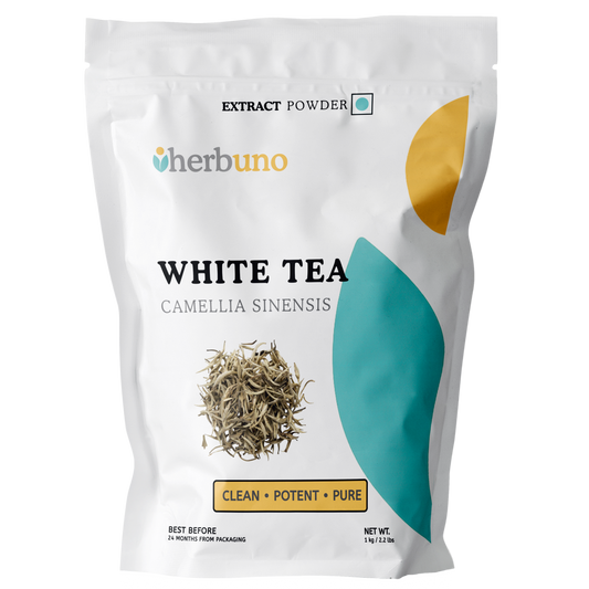 White Tea Extract Powder - Herbuno.Com