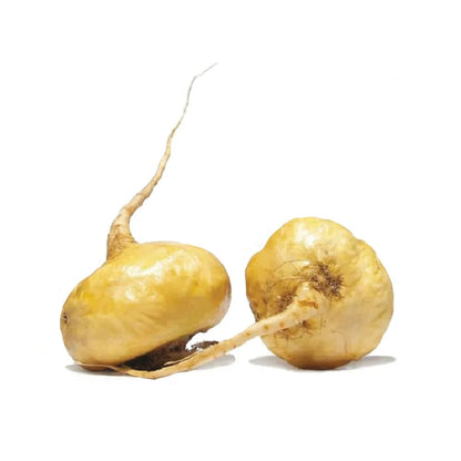 Yellow Maca Root Liquid Extract (Water Soluble) - Lepidium meyenii - Herbuno.Com