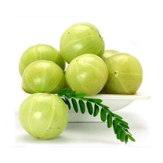 Amla Extract Powder - Herbuno