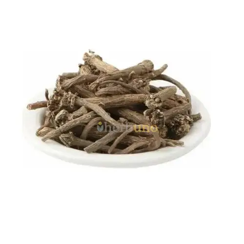 Anacyclus Pyrethrum Extract Powder - Herbuno