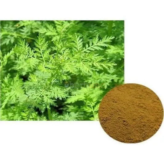 Artemisa Annua Extract Powder - other
