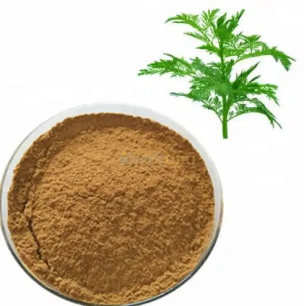 Artemisa Annua Extract Powder - other
