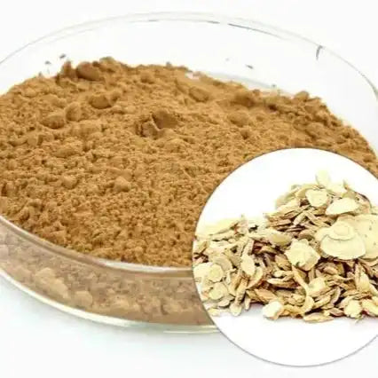 Astragalus Extract Powder (Astragalus gummifer) - Herbuno