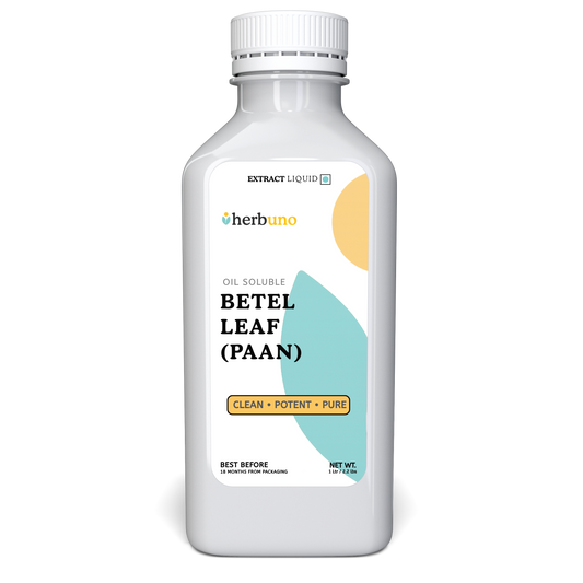 Betel Leaf (Paan) Oil Soluble Extract - Piper betle
