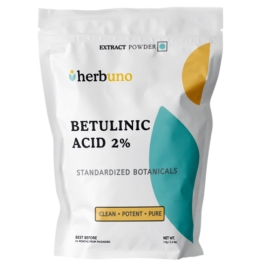 Betulinsäure 2 % Pulver (Chaga-Extrakt) | Standardisierter Inonotus obliquus