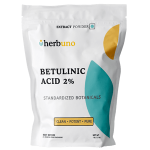 Betulinic Acid 2% Powder (Chaga Extract) | Standardized Inonotus obliquus - Bulk Supplier India