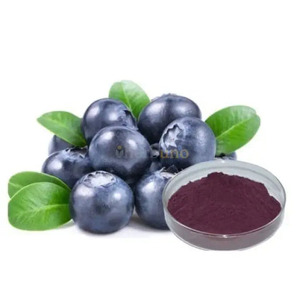 Bilberry Extract Powder - other