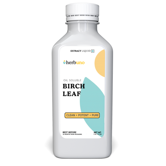 Birch Leaf Oil Soluble Extract - Betula alba