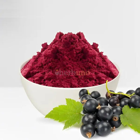 Black-Currant Powder – Ribes nigrum - other