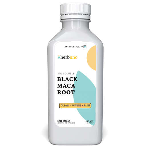 Black Maca Root Oil Soluble Extract - Lepidium meyenii