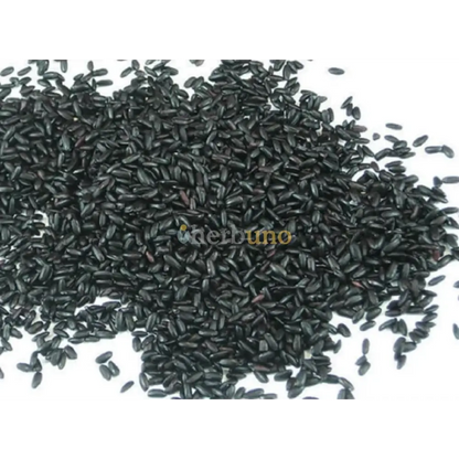 Black Rice Extract Powder - Herbuno