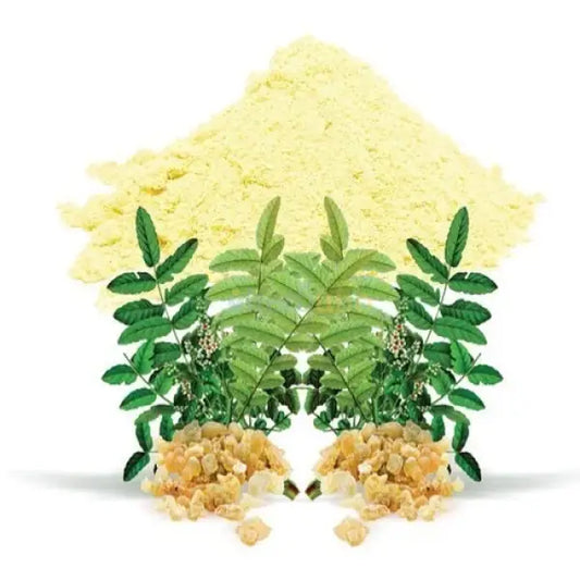 Boswellia serrata (Indian Frankincense) Extract Powder - other