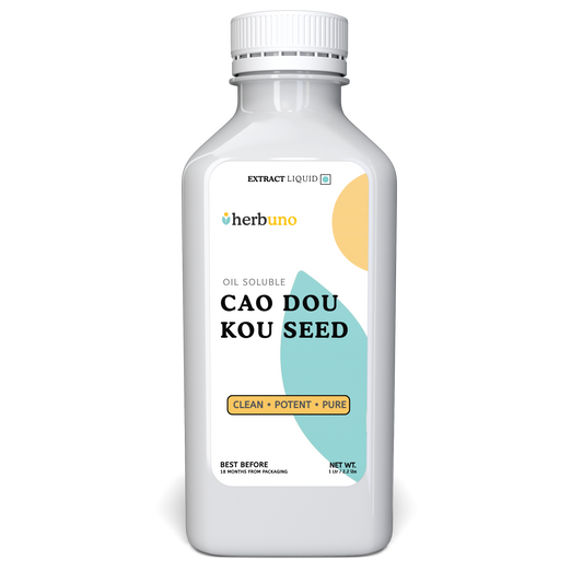 Cao Dou Kou Seed Oil Soluble Extract - Alpinia katsumadai