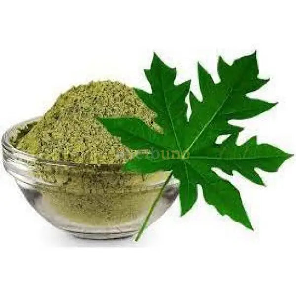 Carica papaya Leaf Extract Powder - other