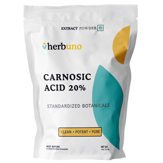 Carnolsäure 20% Pulver (Rosmarinextrakt) | Standardisierter Rosmarinus officinalis