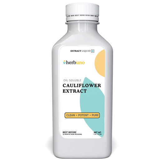Cauliflower Oil Soluble Extract - Brassica oleracea