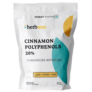 Cinnamon Polyphenols 20% Powder (Cinnamon Extract)| Standardized Cinnamomum Cassia - Bulk Supplier India