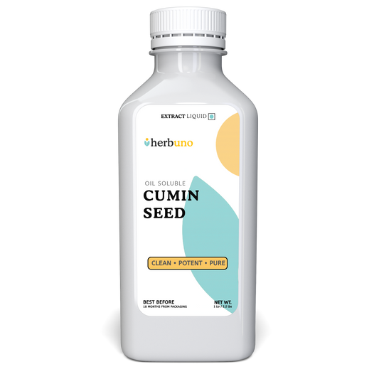 Cumin seed Oil Soluble Extract - Cuminum cyminum