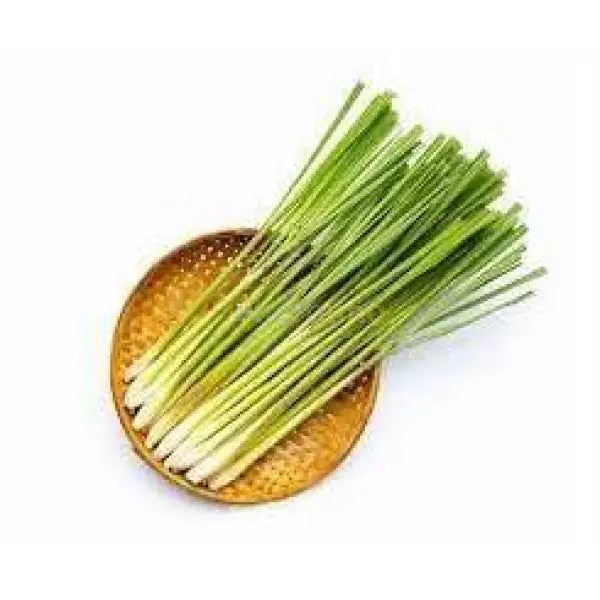 Cymbopogon citratus (Lemongrass) Extract Powder - other