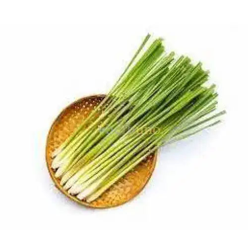 Cymbopogon citratus (Lemongrass) Extract Powder - Herbuno