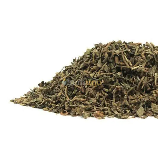 Dehydrated Brahmi Leaves - Bacopa monnieri - Herbuno
