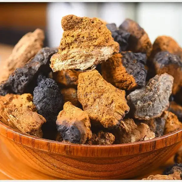 Dehydrated Chaga Mushroom - Inonotus obliquus - dried mushroom