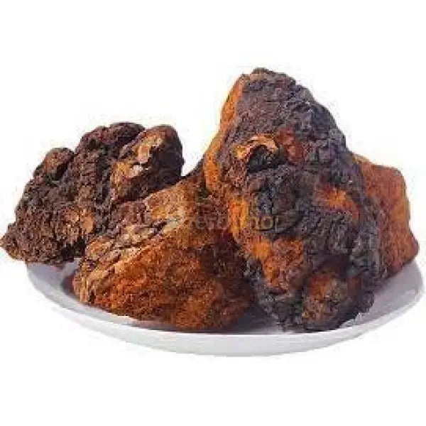 Dehydrated Chaga Mushroom - Inonotus obliquus - dried mushroom