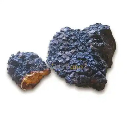 Dehydrated Chaga Mushroom - Antioxidant Superfood - Herbuno