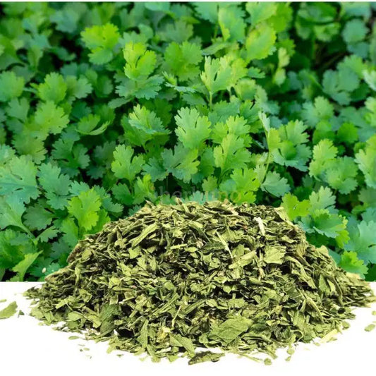 Dehydrated Coriander Leaves - Coriandrum sativum - dried herbs