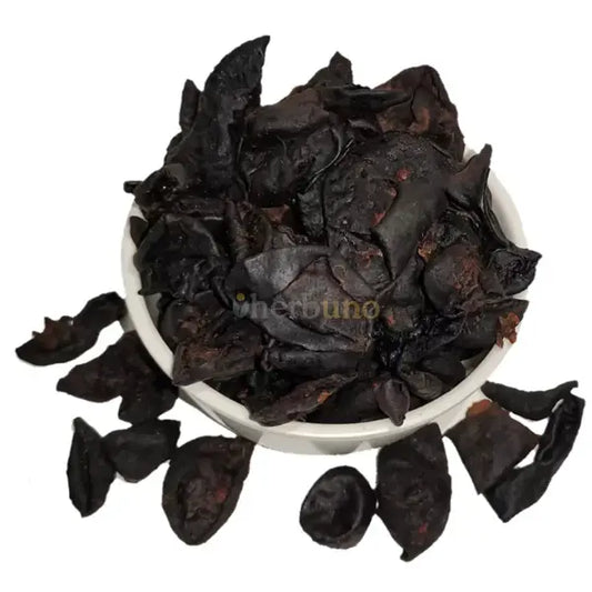 Dehydrated Kokum - Garcinia indica - dried fruit