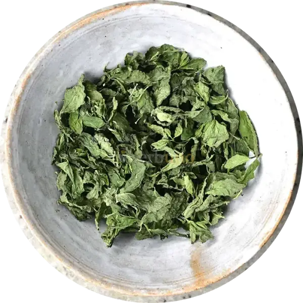Dehydrated Mint Leaves - Mentha spicata - dried vegetable
