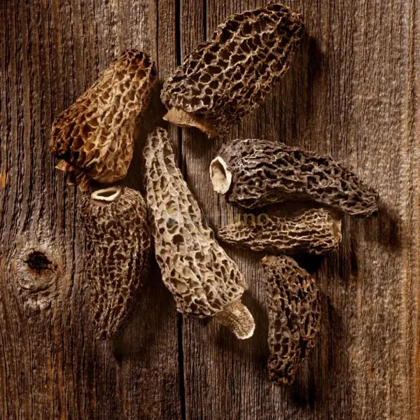Dehydrated Morel Mushroom - Morchella esculenta - dried mushroom
