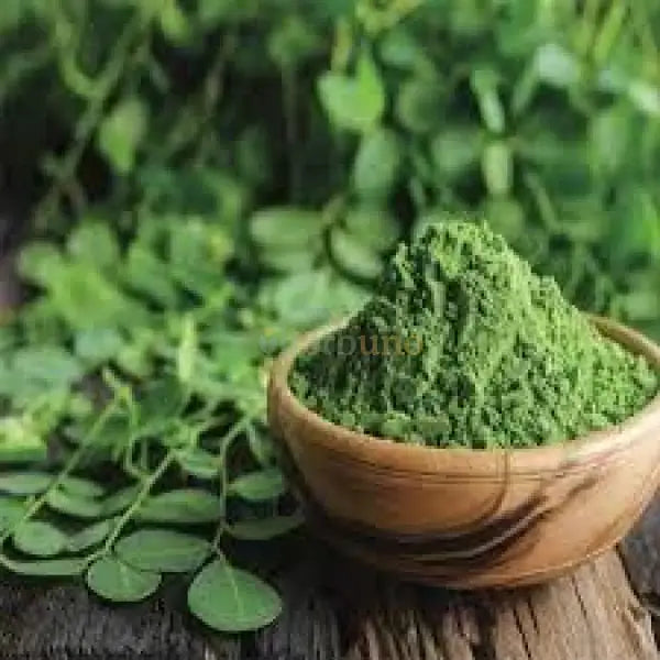 Dehydrated Moringa Leaf Powder - Moringa oleifera - vegetable powder