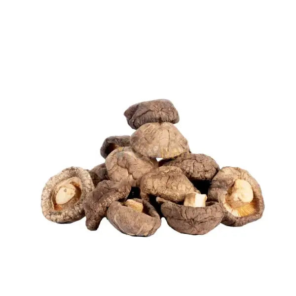 Dehydrated Shiitake Mushroom - Lentinula edodes - dried mushroom