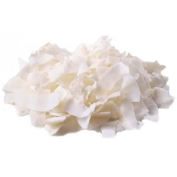 Dried Coconut Slices - Cocos nucifera - dried fruit