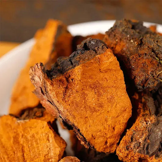 Dehydrated Chaga Mushroom - Inonotus obliquus