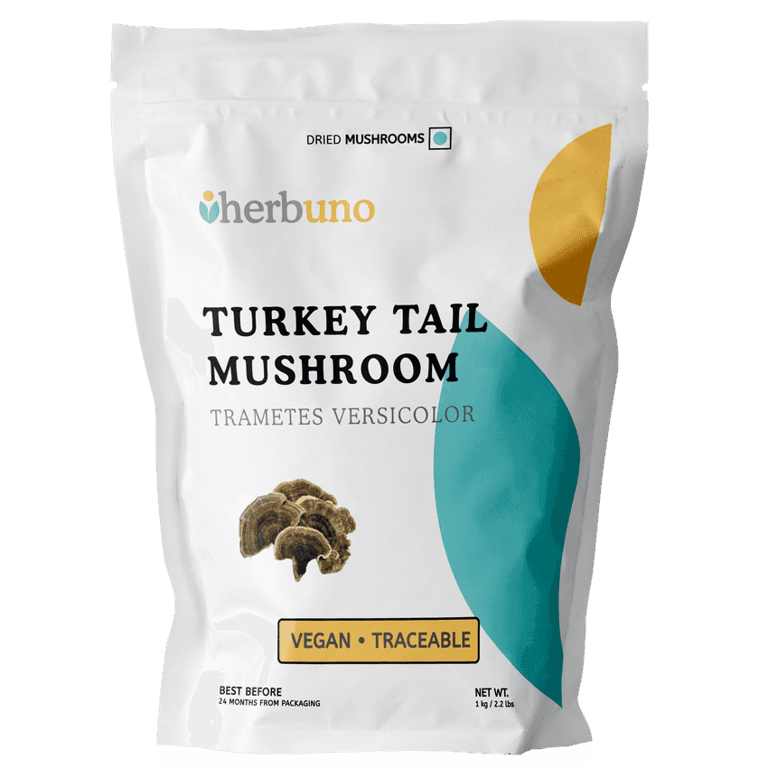 Dried Turkey Tail Mushroom Slices - Herbuno