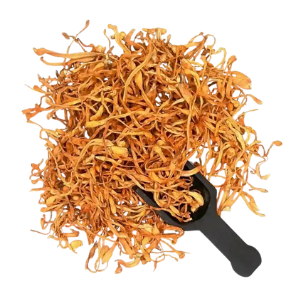 Dried Cordyceps Mushroom - Cordyceps militaris - Herbuno