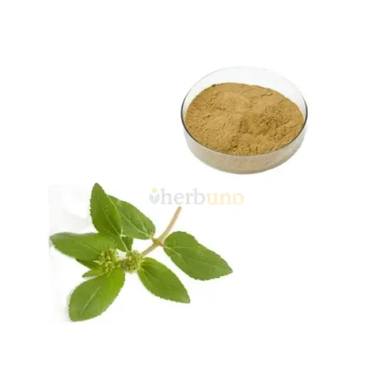 Euphorbia Hirta (Dugdhika) Extract Powder - other