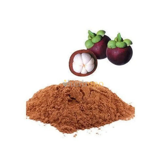 Garcinia mangostana (Mangosteen) Extract Powder - Herbuno