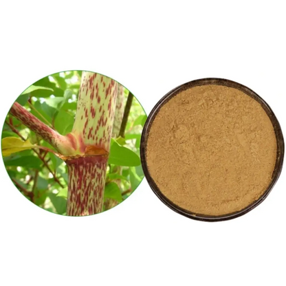Japanese Knotweed Extract Powder - Herbuno