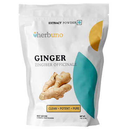 Ginger Extract Powder - Herbuno