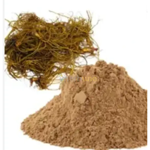 Goldenseal Extract Powder - Herbuno