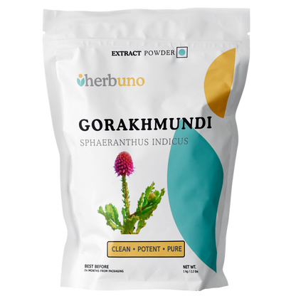 East Indian Globe Thistle (Gorakhmundi) Extract Powder - Herbuno