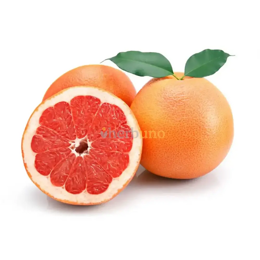 Grapefruit Extract Powder - Herbuno