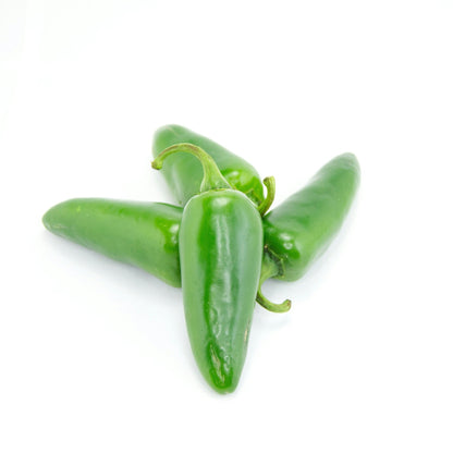 Green Chilli Extract Powder - Capsicum annuum - Bulk Supplier India
