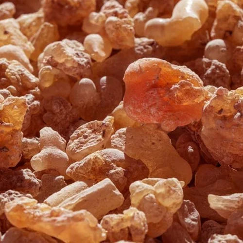 Guggul Extract Powder - Herbuno