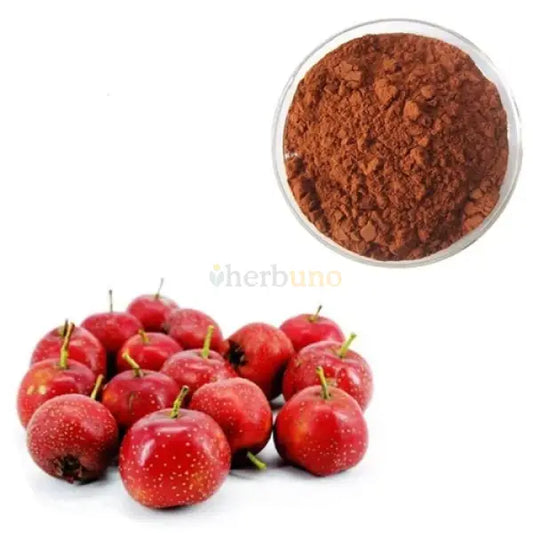 Hawthorn Dry Extract Powder - Crataegus - other