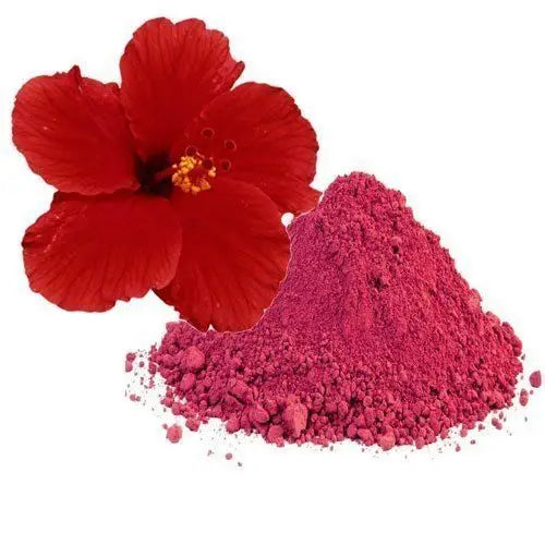 Hibiscus Extract Powder - Herbuno