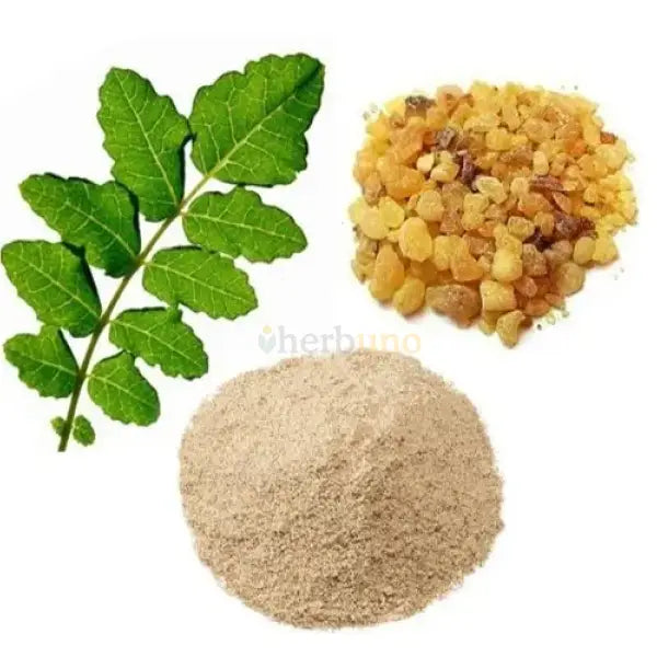 Huperzia Serrata (Huperzine A 1% ) Extract Powder - other